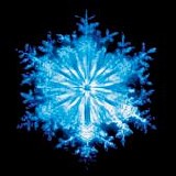 Coil - The Snow