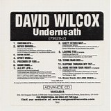David Wilcox - Underneath