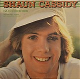 Shaun Cassidy - Shaun Cassidy
