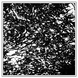 clipping. - midcity