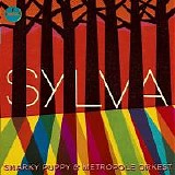 Snarky Puppy - Sylva