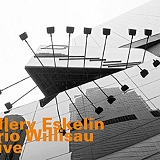 Ellery Eskelin with Gary Versace & Gerry Hemingway - Trio Willisau Live