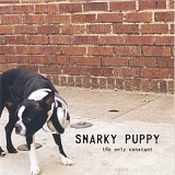 Snarky Puppy - the only constant