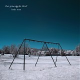 The Pineapple Thief - Little Man