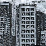 The Pineapple Thief - 8 Days