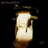 The Pineapple Thief - 137