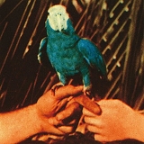Andrew Bird - Are You Serious [Deluxe Edition]
