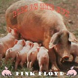 Pink Floyd - 1977-02-28 - Olympiahalle, Munich, Germany CD2