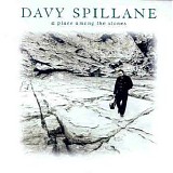 Davy Spillane - A Place Among the Stones