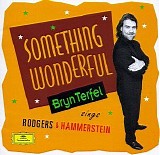 Bryn Terfel - Something Wonderful