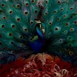 Opeth - Sorceress