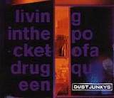 Dust Junkys - Living In The Pocket Of A Drug Queen