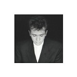 Peter Gabriel - Shaking The Tree (Twelve Golden Greats)