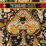 Big Head Todd & The Monsters - Black Beehive