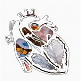 inFictions - Instrumental Maps