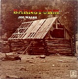 Joe Walsh - Barnstorm