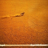 Kayak - Royal Bed Bouncer
