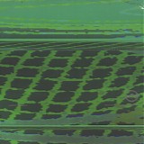 Atom Heart - Morphogenetic Fields