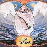 Hillage, Steve - Fish Rising