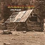 Joe Walsh - Barnstorm