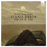 Andreas Staier / Daniel Sepec / Roel Dieltiens - Schubert: Piano Trios, Op. 99 & 100