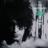 The Waterboys - A Pagan Place