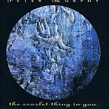 Peter Murphy - The Scarlet Thing in You
