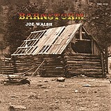Joe Walsh - Barnstorm
