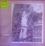 Arto Lindsay - Encyclopedia Of Arto