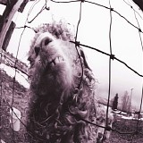 Pearl Jam - Vs.