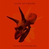 Alice In Chains - The Devil Put Dinosaurs Here