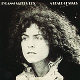 T. Rex - A Beard of Stars [2016 5 Classic Albums]
