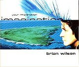 Brian Wilson - Your Imagination