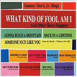 Sammy Davis Jr - What Kind of Fool Am I and Other Show Stoppers