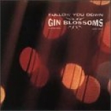 Gin Blossoms - Follow You Down