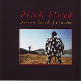 Pink Floyd - Delicate Sound Of Thunder