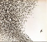 Wilco - Sky Blue Sky