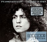 T. Rex - Beard of Stars [2014 deluxe 2cd edition]