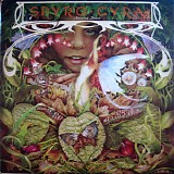 Spyro Gyra - Morning Dance