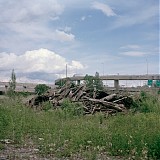 Big Brave - Feral Verdure