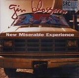Gin Blossoms - New Miserable Experience