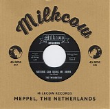 The Twilighters - Nothing Can Bring Me Down