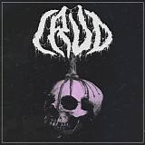 Crud - Resin
