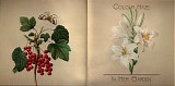 Colour Haze - In Her Garden