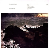 Fleet Foxes - Crack-Up