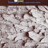 Boxstep - By Now Even Trees