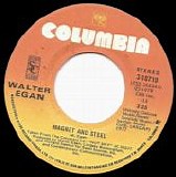 Walter Egan - Magnet And Steel