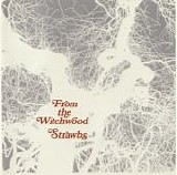 Strawbs - From The Witchwood