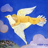 Robert Wyatt - Shleep