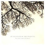 Guy Buttery & Nibs van der Spuy - In The Shade Of The Wild Fig